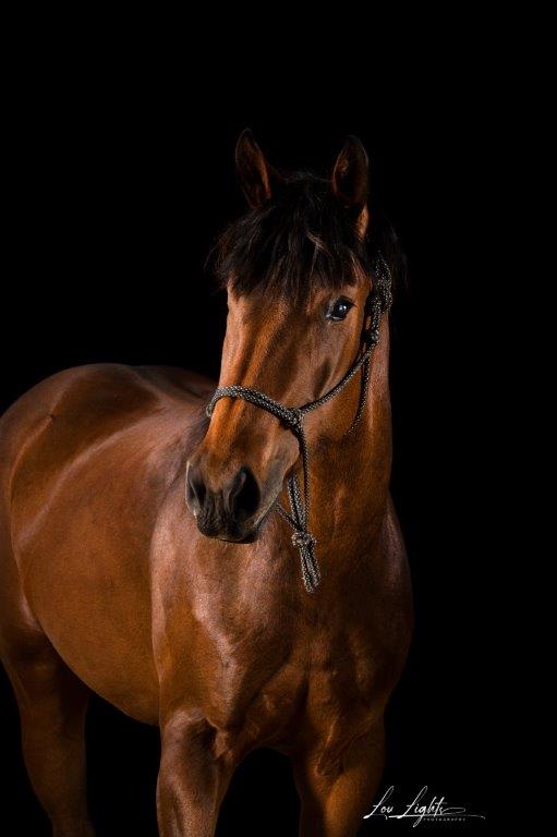 Toffee